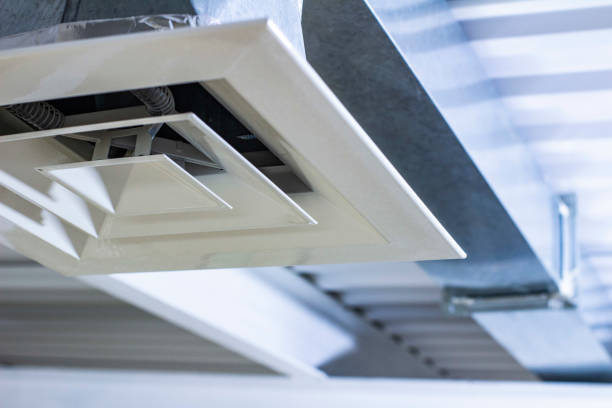 Best Local Air Duct Cleaning Services  in Detroit Beach, MI